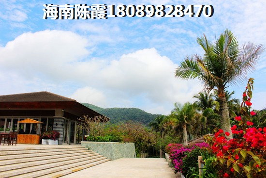 海南·马袅湾的醉新价格是多少？
