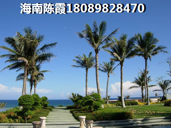 阳光城详情