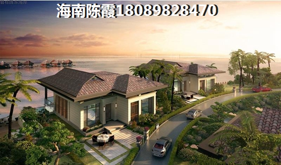 临高哪里冬天不潮湿？