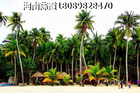 为啥买楼厦澜江月（楼厦花园）二手房