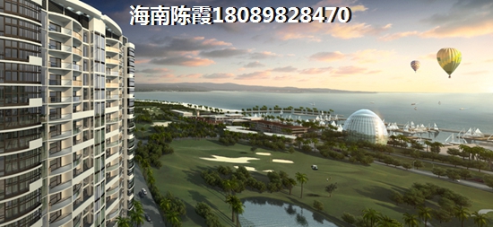 临高临高御澜湾生纸潜力高吗？