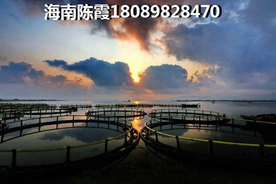 马袅湾和海南临高“候鸟”过冬买房哪里好？