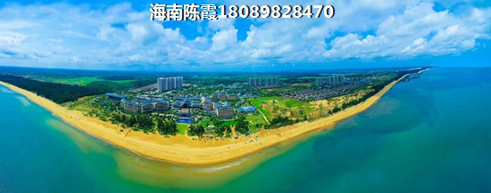 北方候鸟后悔在临高买房了？