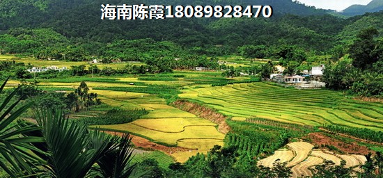 海南买房touzi首选哪？